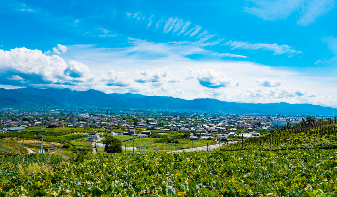 古くから果樹栽培の文化が息づく、日本農業遺産の山梨県峡東地域。