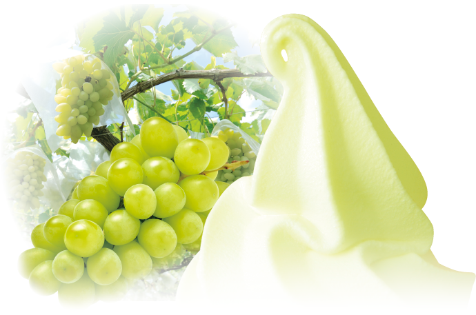 ラインナップ Japan Premium 日世 Nissei