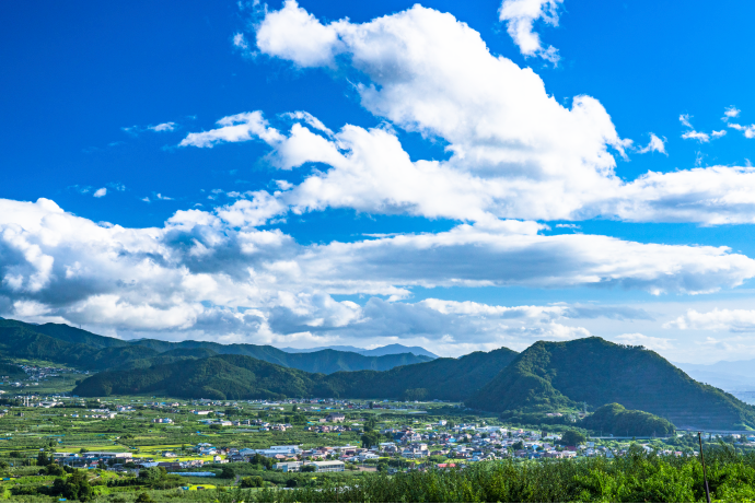 長野県産シャインマスカット にっぽんの果実紀行 Japan Premium 日世 Nissei