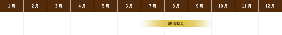 和梨の旬(収穫時期)