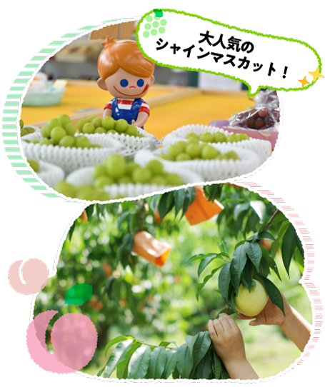 ߂̊ό_͂{̃t[cł܂B