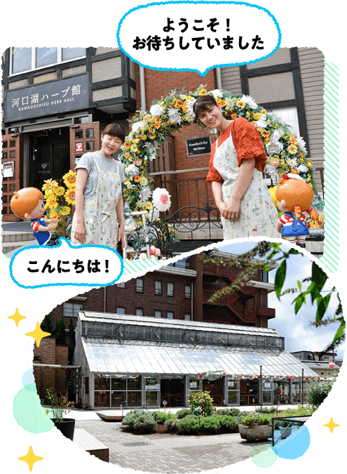 Lȃn[uɕ܂ꂽԂŃbNXB