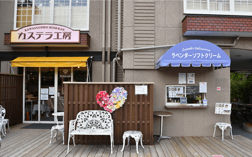 ҂܂Ił́u͌΃n[uفv̂n\tg܂傤B