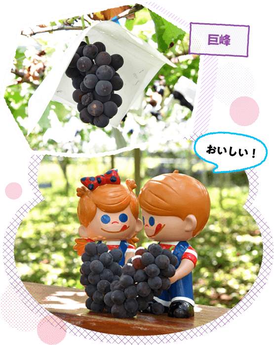 {̂Ԃǂ̎YnAR̕ȂHׂ鋐͊iʂłI