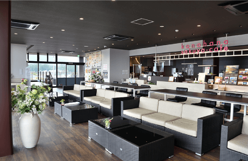 ł͂҂܂Iun[u뉀L@xm͌Β뉀v̂n\tgЉ܂B