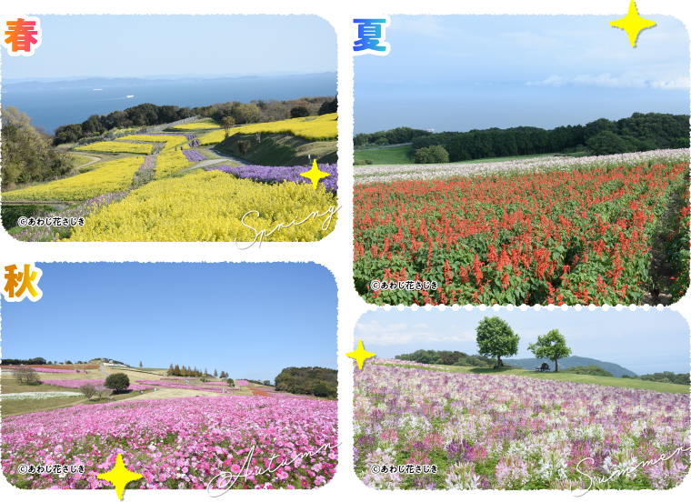 t͉FO~~l߂悤ɋuʂɍ؂̉Ԃ炭i͈̔Bł͔N3AւsAlG܁X̉ԁXy߂܂B