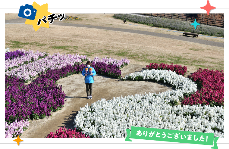 ̉AX^bt̕ƈꏏɋLOBeI