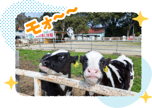 YnłWHqi삠킶sjlC̃X|bgłB