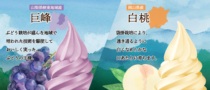 ジャパンプレミアム 岡山県産「白桃」、山梨県峡東地域産「巨峰」販売中